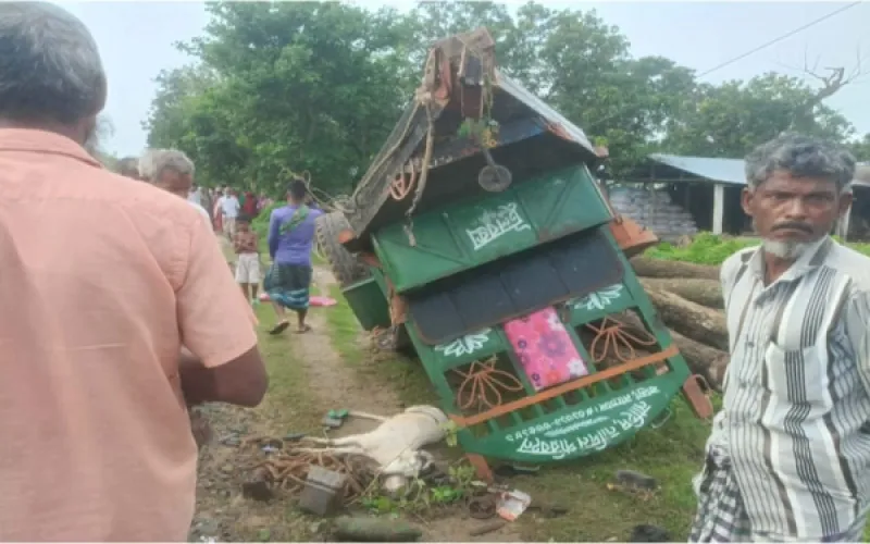 নাচোলে রেলক্রসিংয়ে ট্রেনের ধাক্কায় পাওয়ার টিলারচালক নিহত